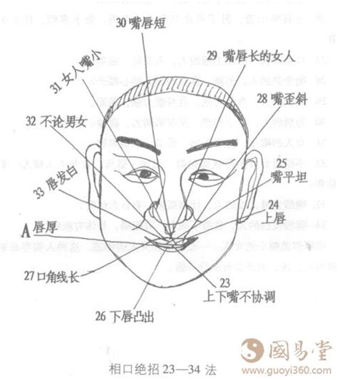 嘴型看相|易凡師傅講解 面相之嘴巴